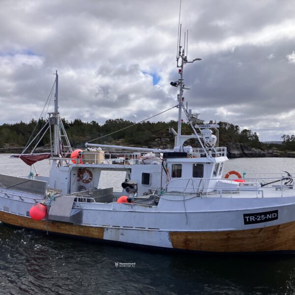 "Risøy"